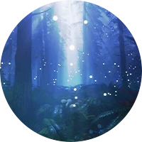 Regeneraxion